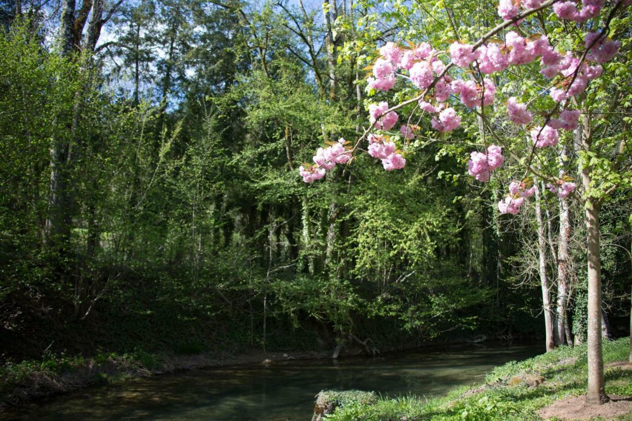 Gite Moulin De La Serree Nuits-Saint-Georges Bagian luar foto